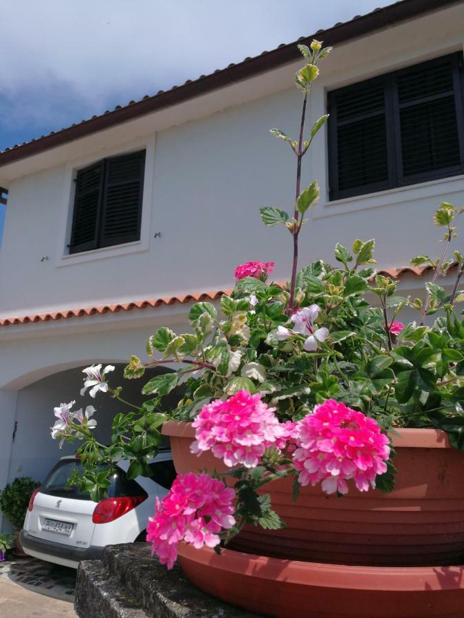 Apartment Nela Vinkuran Exterior foto